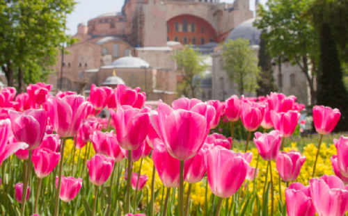 فستیوال لاله استانبول (Istanbul Tulip Festival)