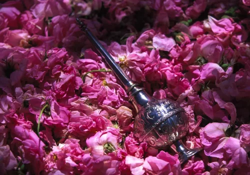 کاربردهای گلاب کاشان