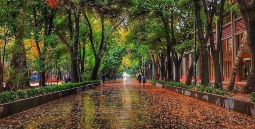 چهار باغ عباسی در اصفهان
