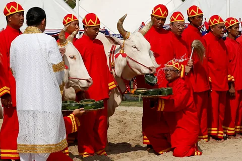 مراسم رویال پلووینگ در تایلند یکی از بهترین فستیوال های تایلند