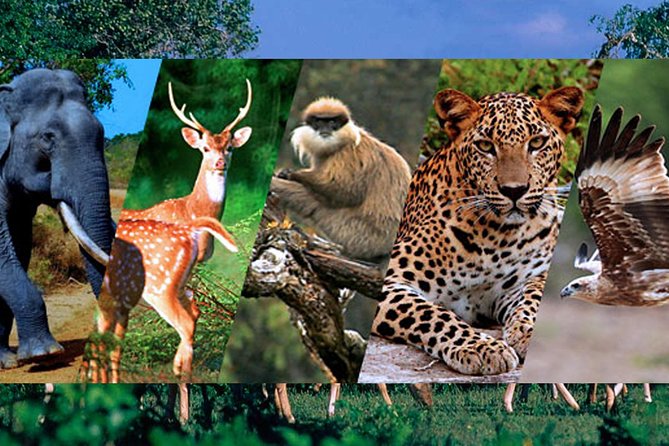 بخش‌ های مختلف باغ وحش کلمبو